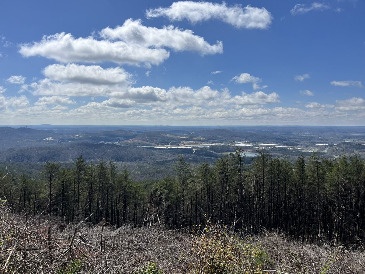 Jzsus VE tweet media