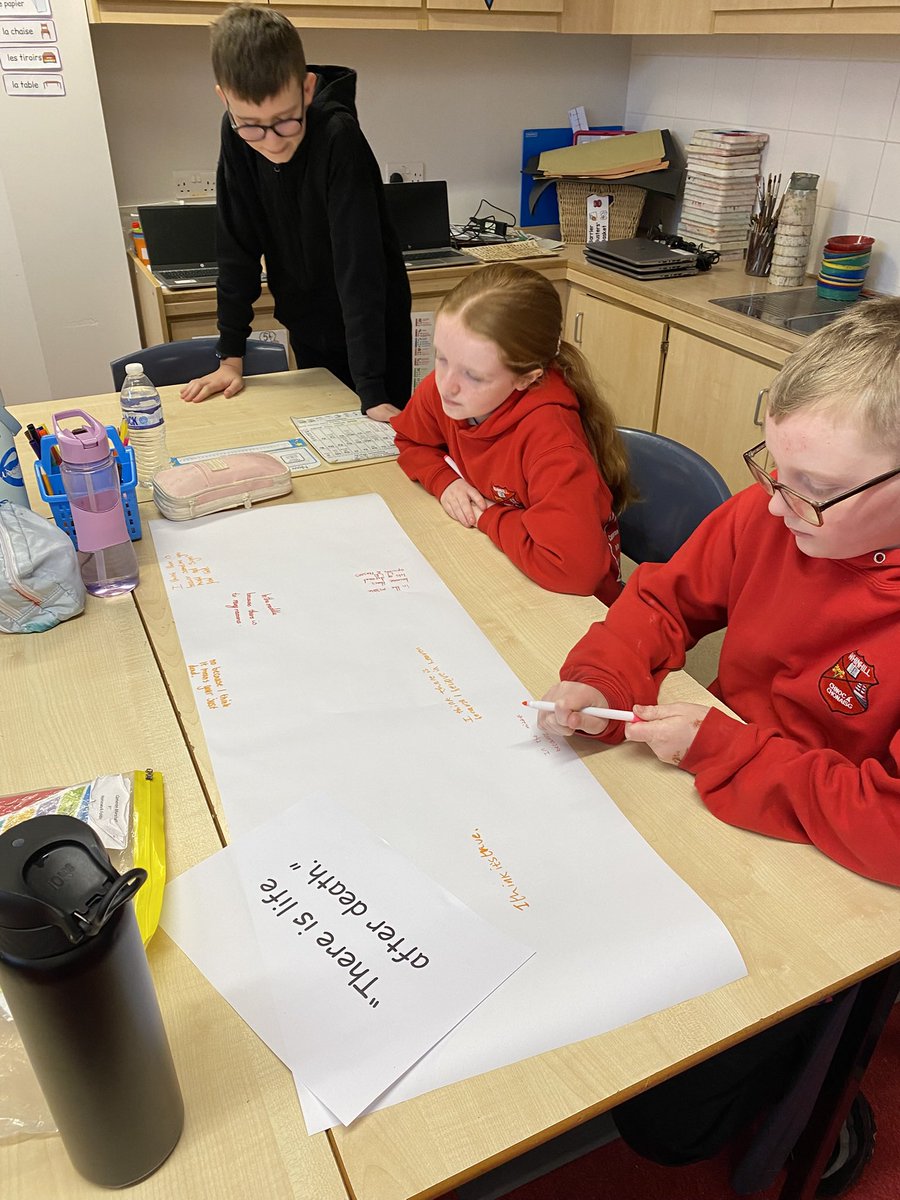 Mrs Alexander P7 🧡 tweet media