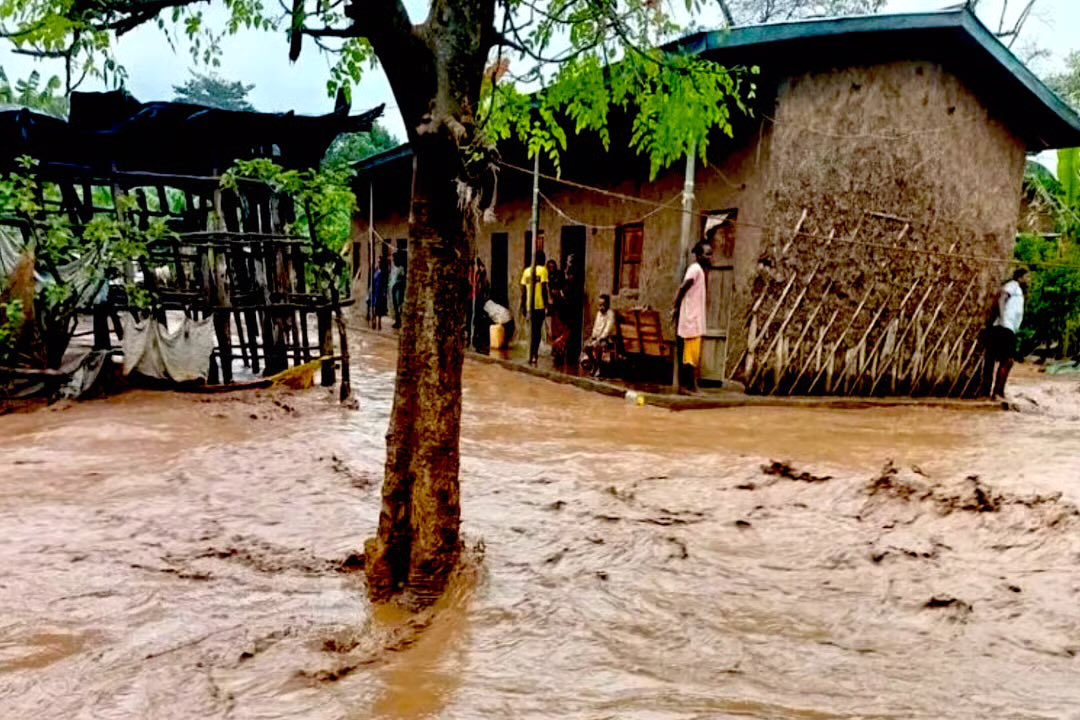 Weather Monitor tweet media