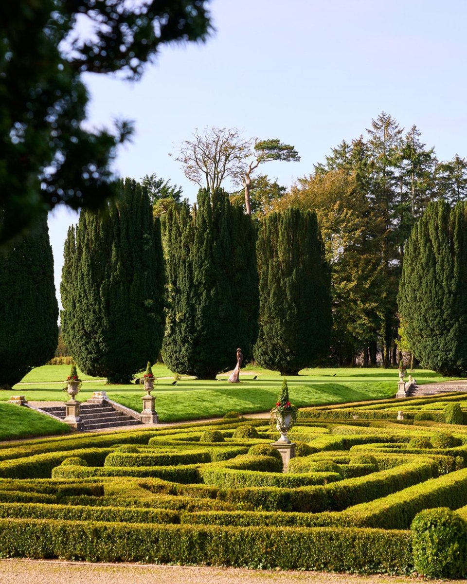 Ring of Cork tweet media