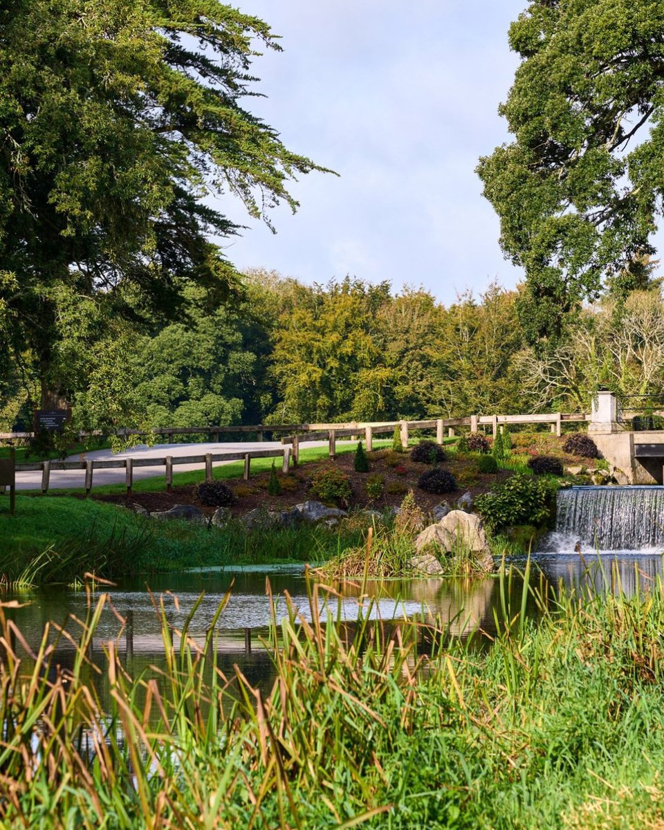 Ring of Cork tweet media