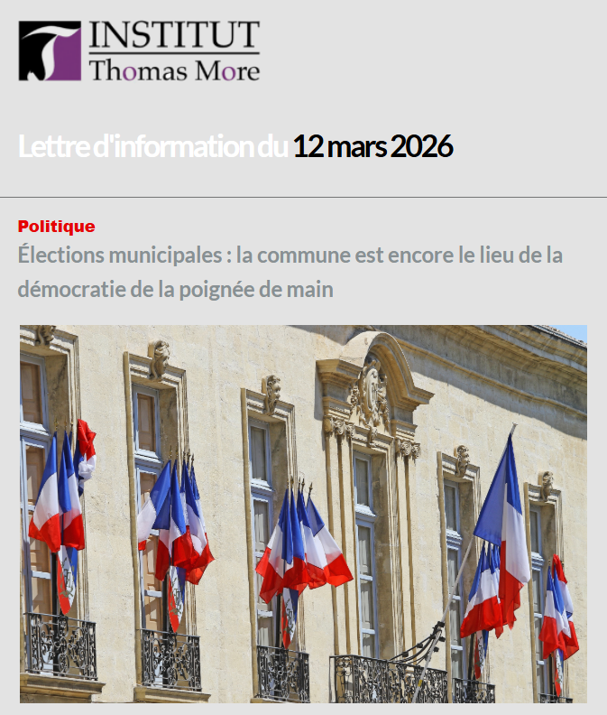 Institut Thomas More tweet media
