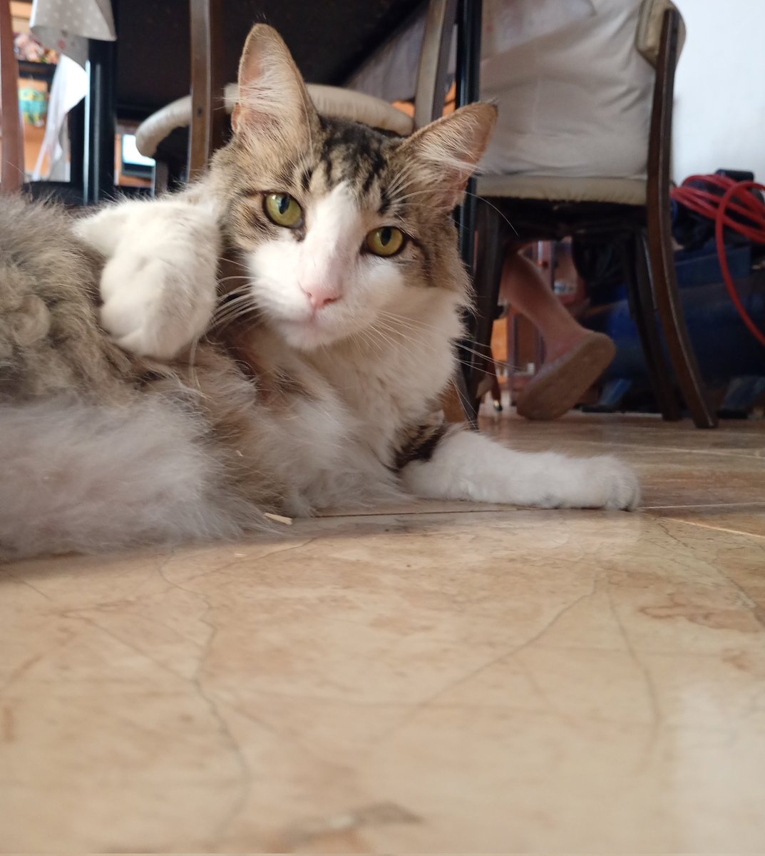Eviil_Rick's tweet photo. @aarontsuarez Hola buenass disculpen que moleste pero si alguien quiere me puede donar lo que pueda?no tengo para comer y necesito mantener a mí hijo
Gracias ❤️

CBU: 0000003100094585876493 https://t.co/qBFpa9b8Ji