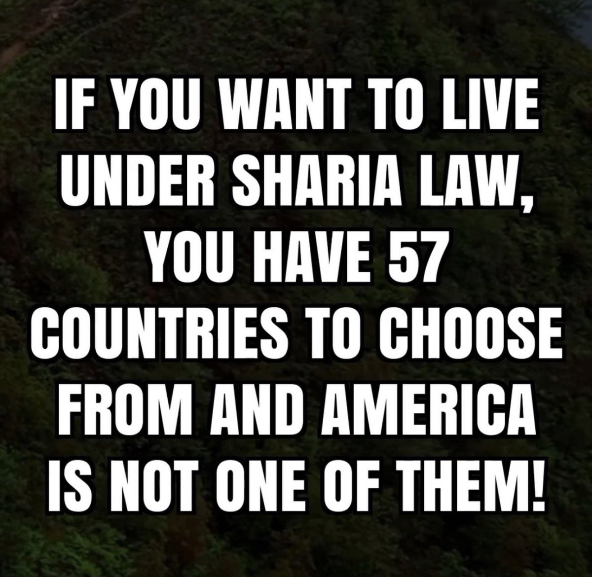 Tina B 🇺🇸 tweet media