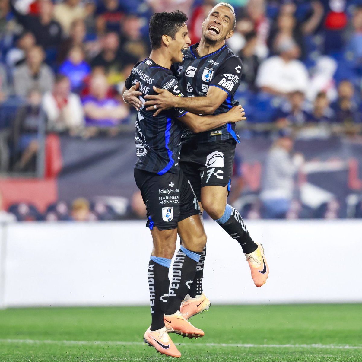 Gallos Blancos 🐓 tweet media