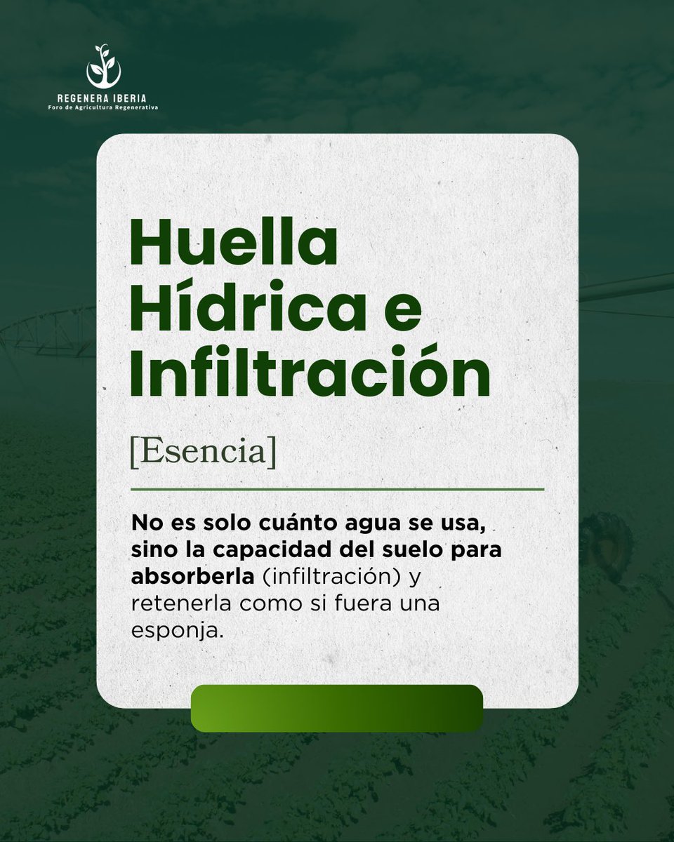 RegeneraIberia's tweet photo. https://t.co/df7pinXTRX