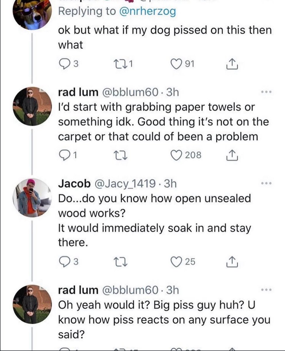 Reply Archive tweet media