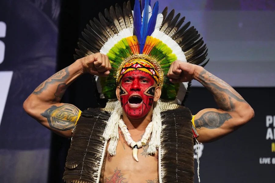 José Louis tweet media