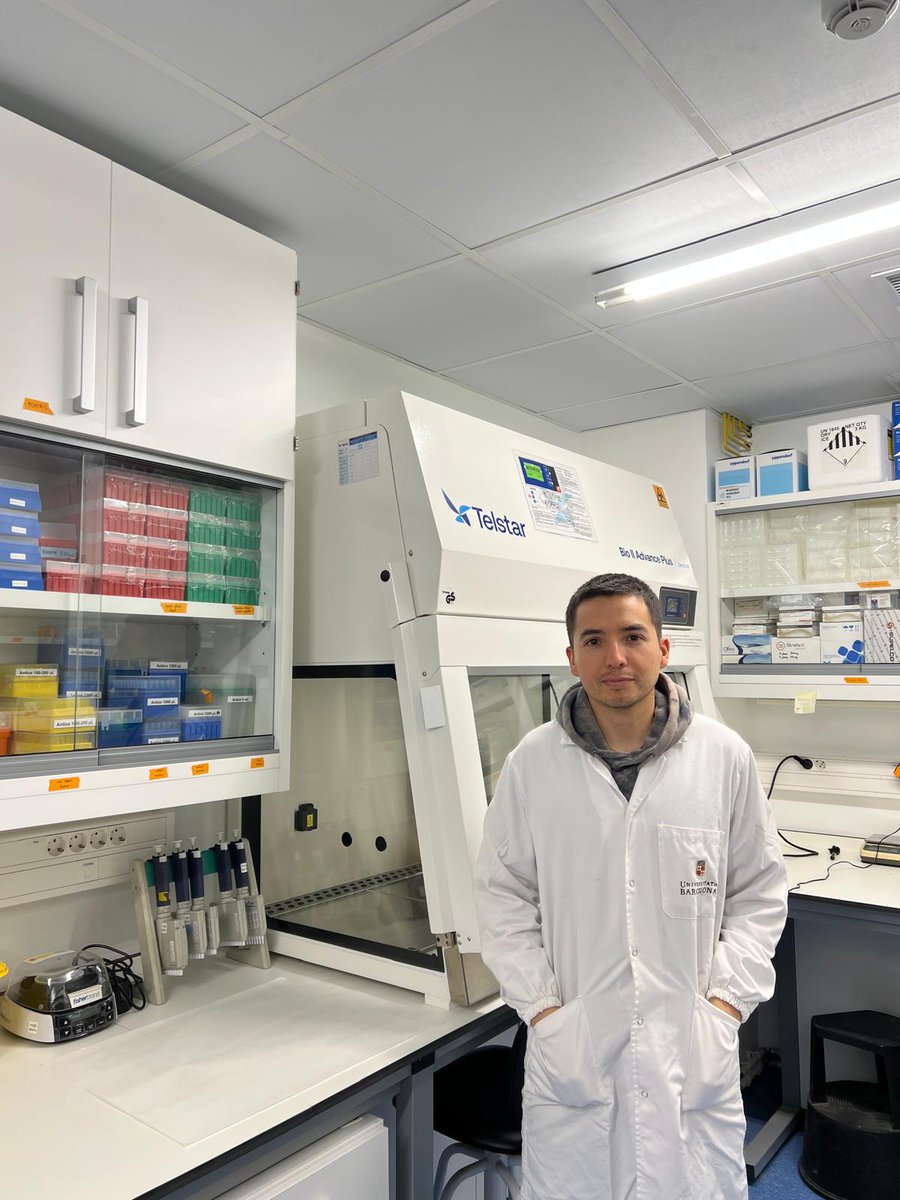 Polyphenol_Research tweet media