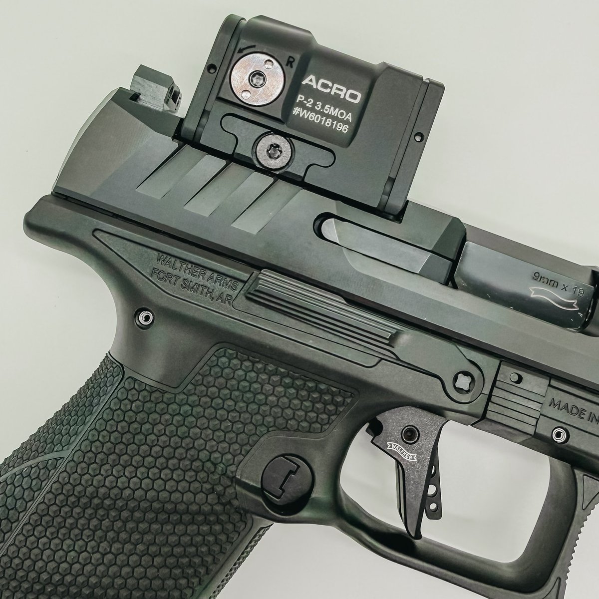 Taylor D. Rhodes tweet media