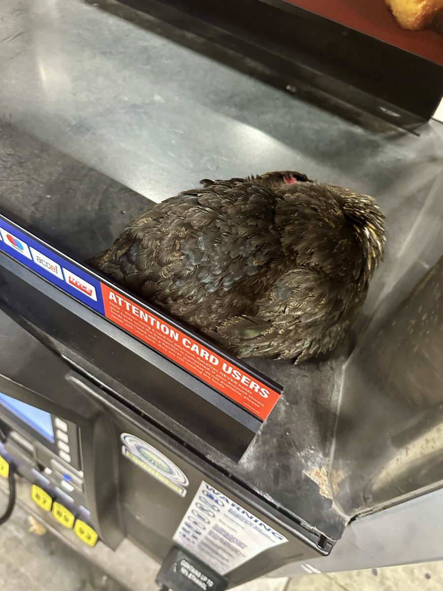 Subsea 🐬⚓️🐬 🫡 🇺🇸 tweet media