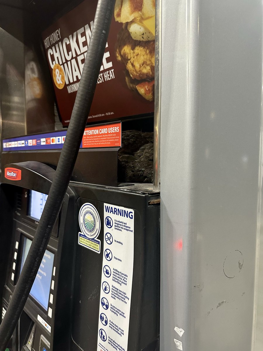 Subsea 🐬⚓️🐬 🫡 🇺🇸 tweet media