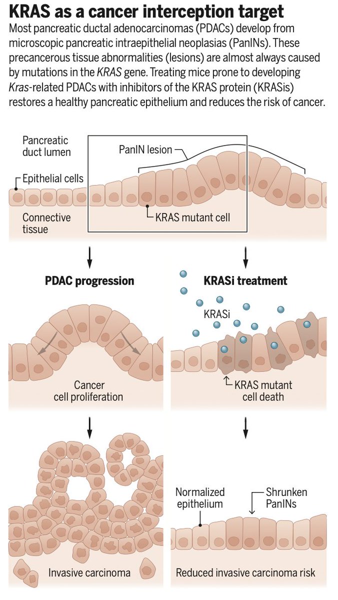 Eric Topol tweet media