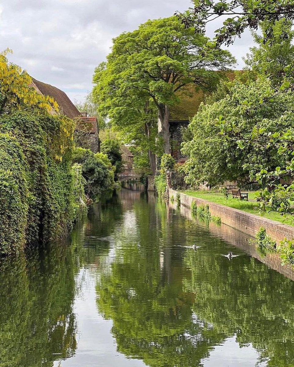 WanderLens tweet media