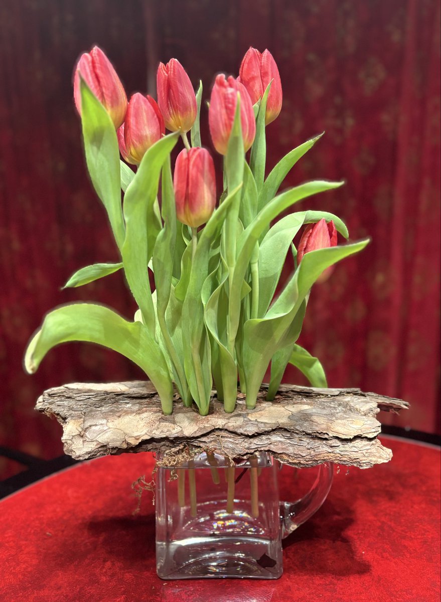 Superhuisvrouw's tweet photo. Met een steuntje in de steel staan deze tulpen hier al een week. Geen extra voeding, niets bijgesneden, geen water ververst, gewoon nog lekker fier en fris #flowerfrog https://t.co/vmTEYjLQXO