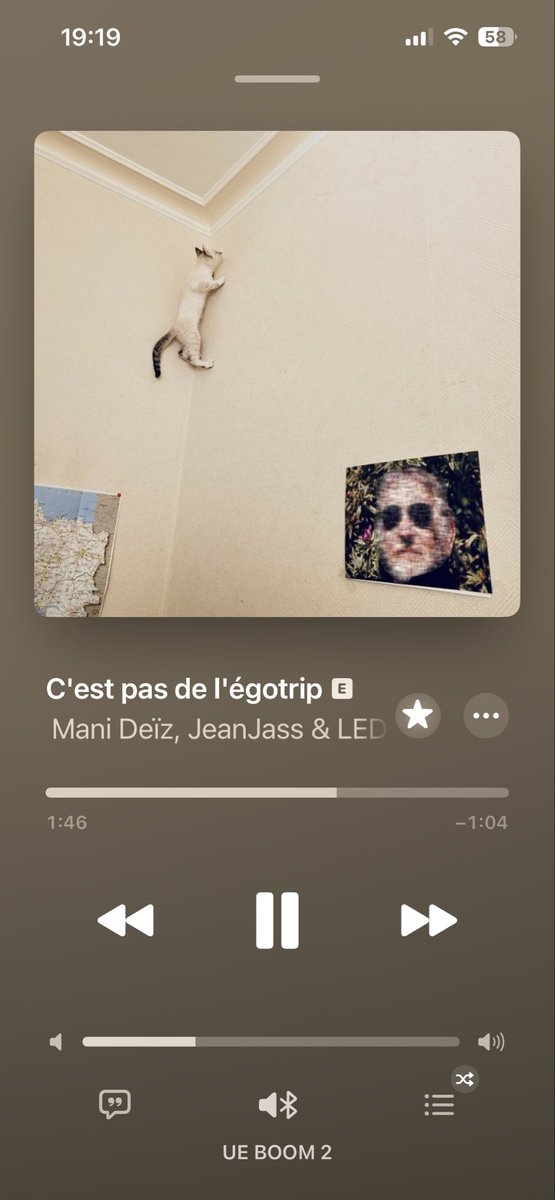 VD7 ☘️🐝🦉 tweet media