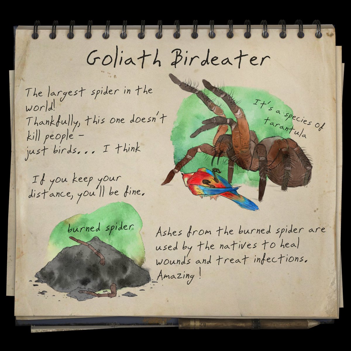 Green Hell tweet media