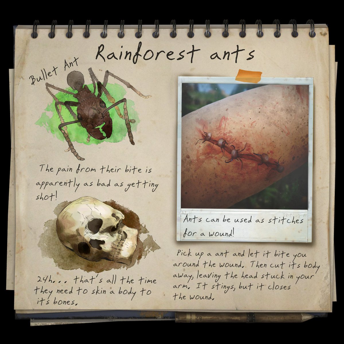 Green Hell tweet media