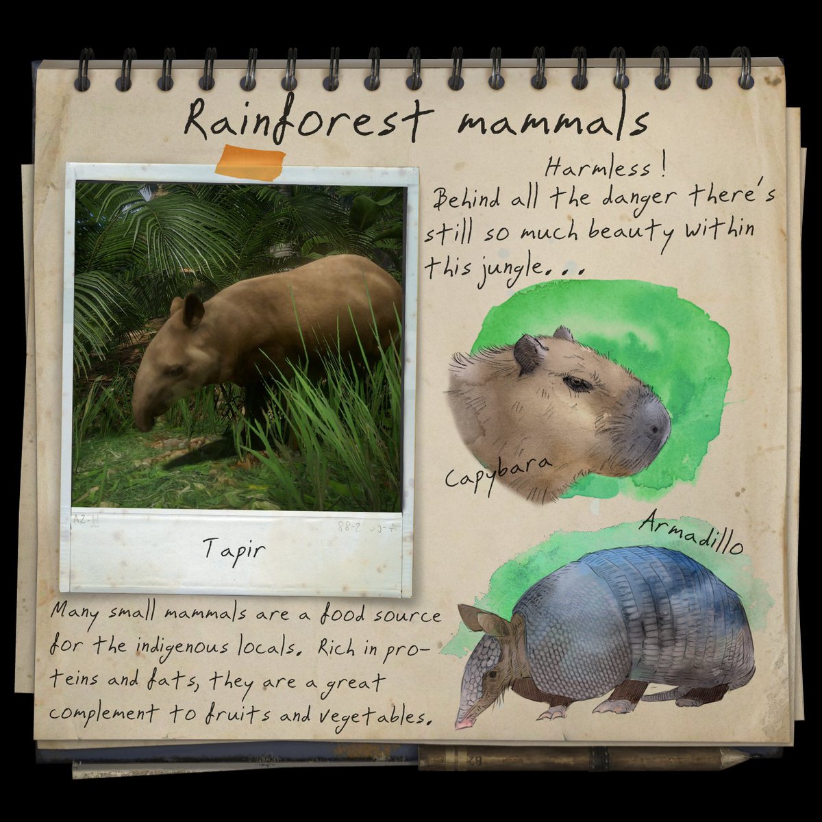 Green Hell tweet media