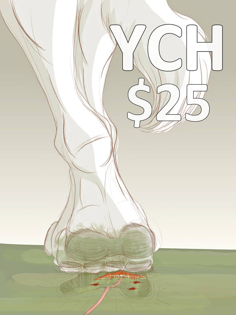 Shíradhe Claimha 🐺🐾 tweet media