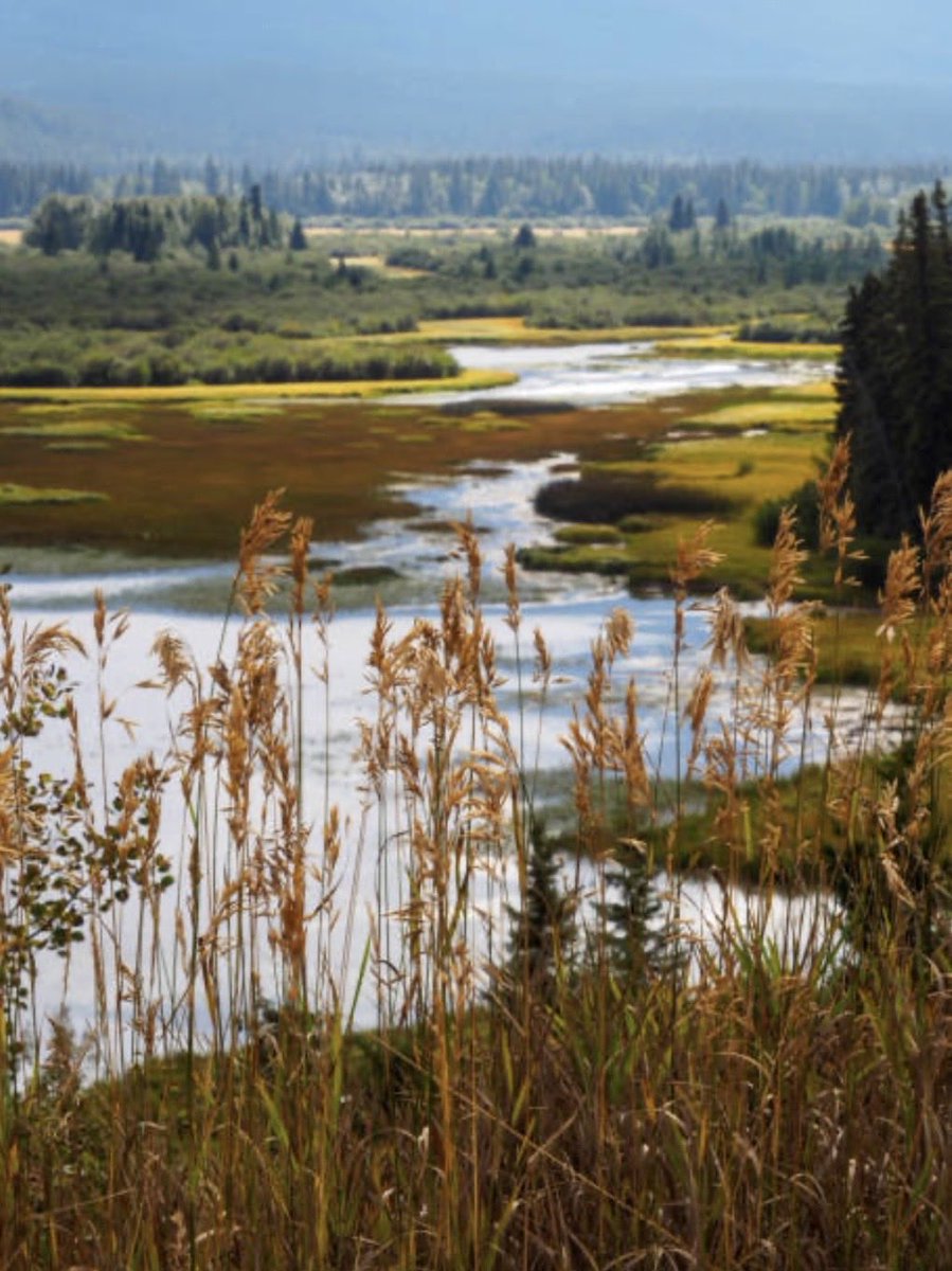 SDG UNOG H.S.H Princess Isabel tweet media