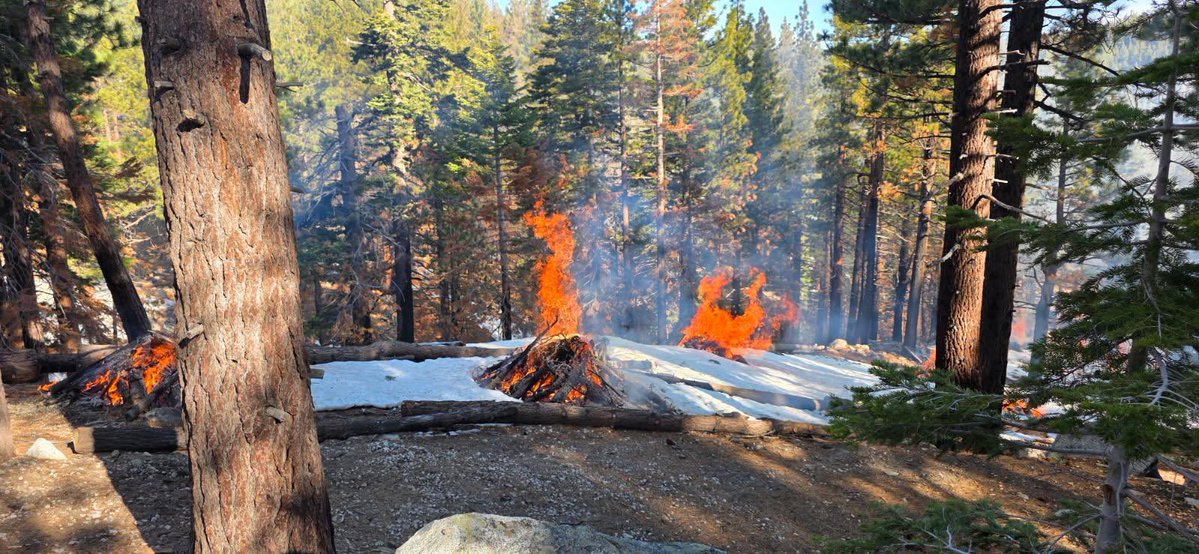 Truckee Meadows Fire & Rescue tweet media