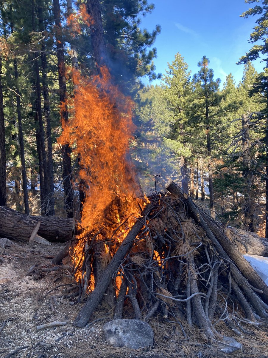 Truckee Meadows Fire & Rescue tweet media