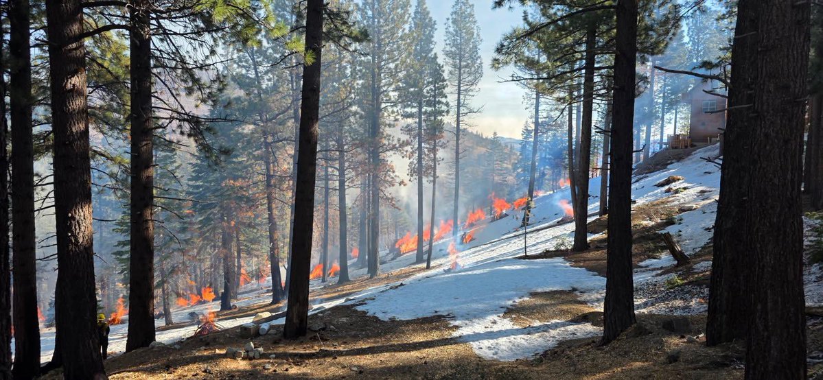 Truckee Meadows Fire & Rescue tweet media