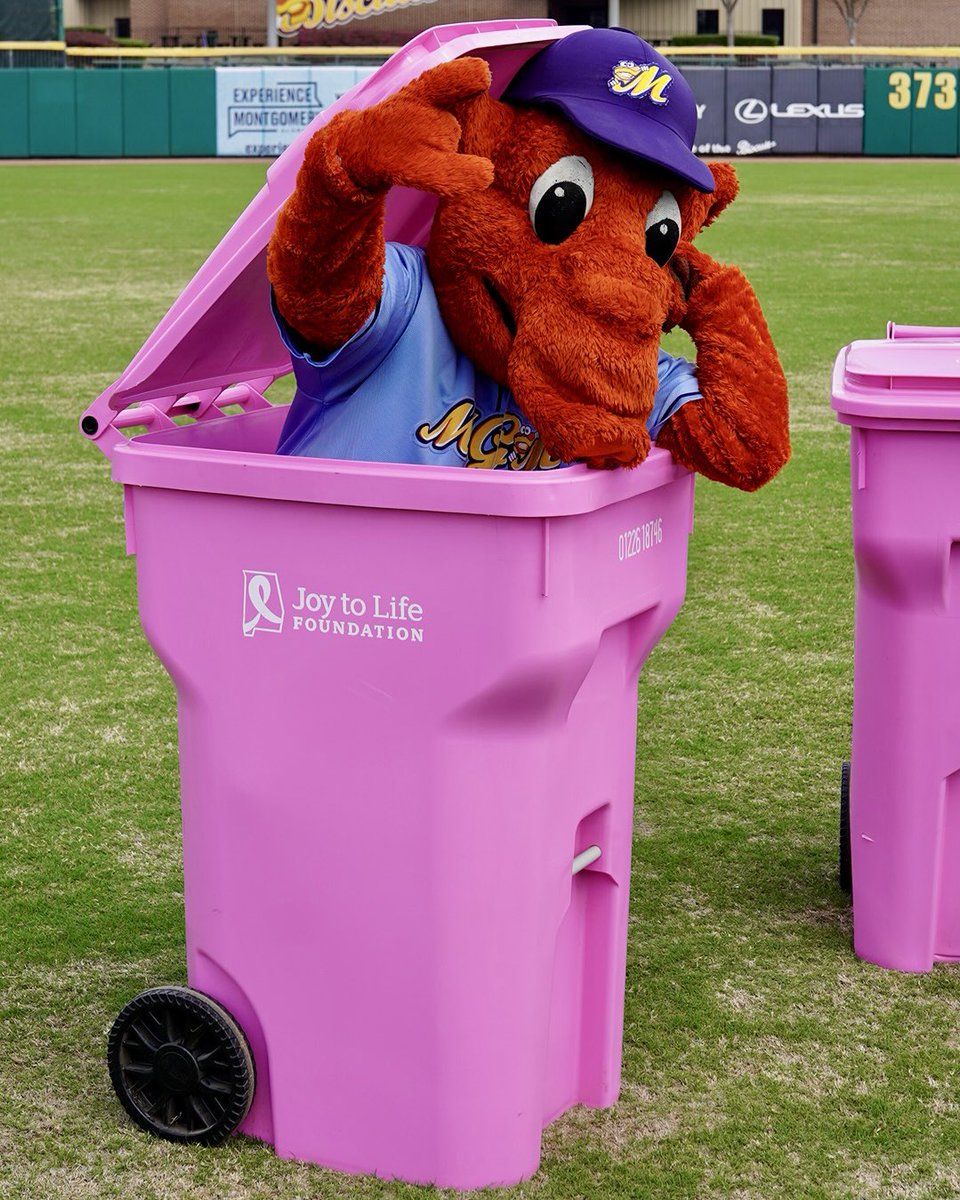 Montgomery Biscuits tweet media