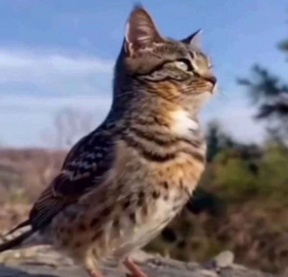 zikynada7xx tweet media