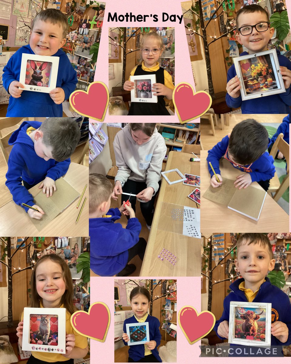 BHVC Primary tweet media