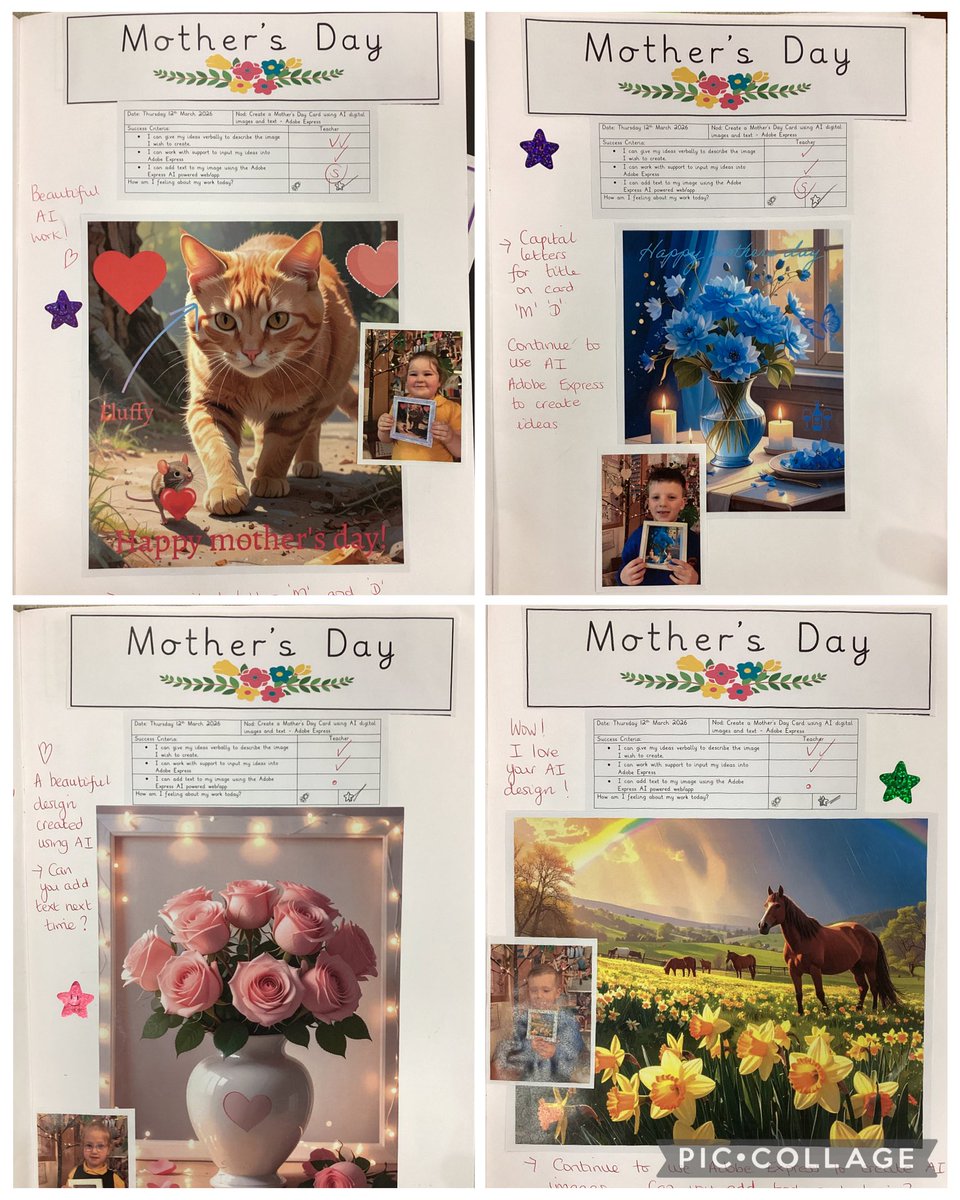 BHVC Primary tweet media