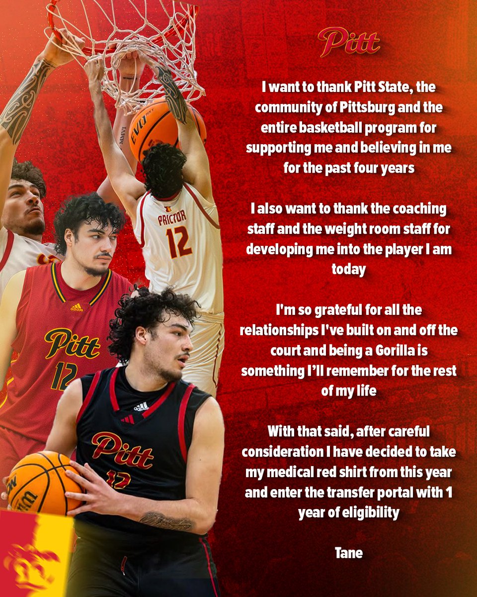 Tane Prictor tweet media