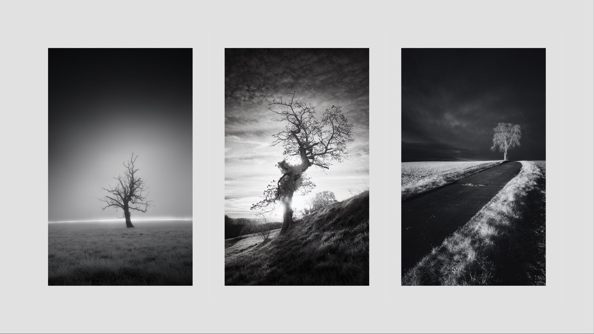 Jonas Hangartner tweet media