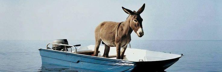 بــــــــــحر 🌊 tweet media