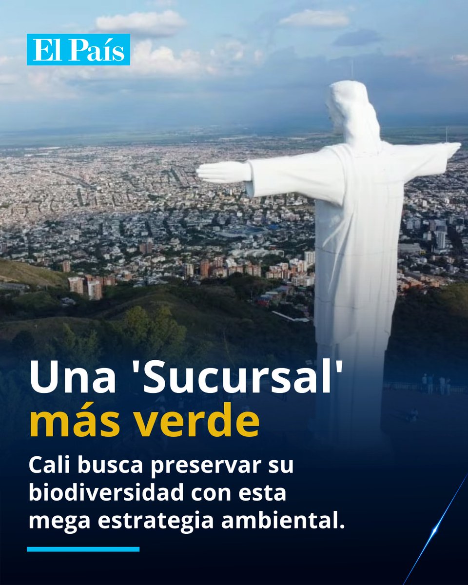 elpaiscali's tweet photo. 👉Conozca el plan que se proyecta a 10 años: https://t.co/L3kMfpCpKu https://t.co/svICR1bET7