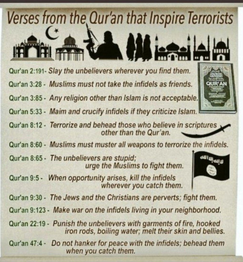 Cat Wolff tweet media