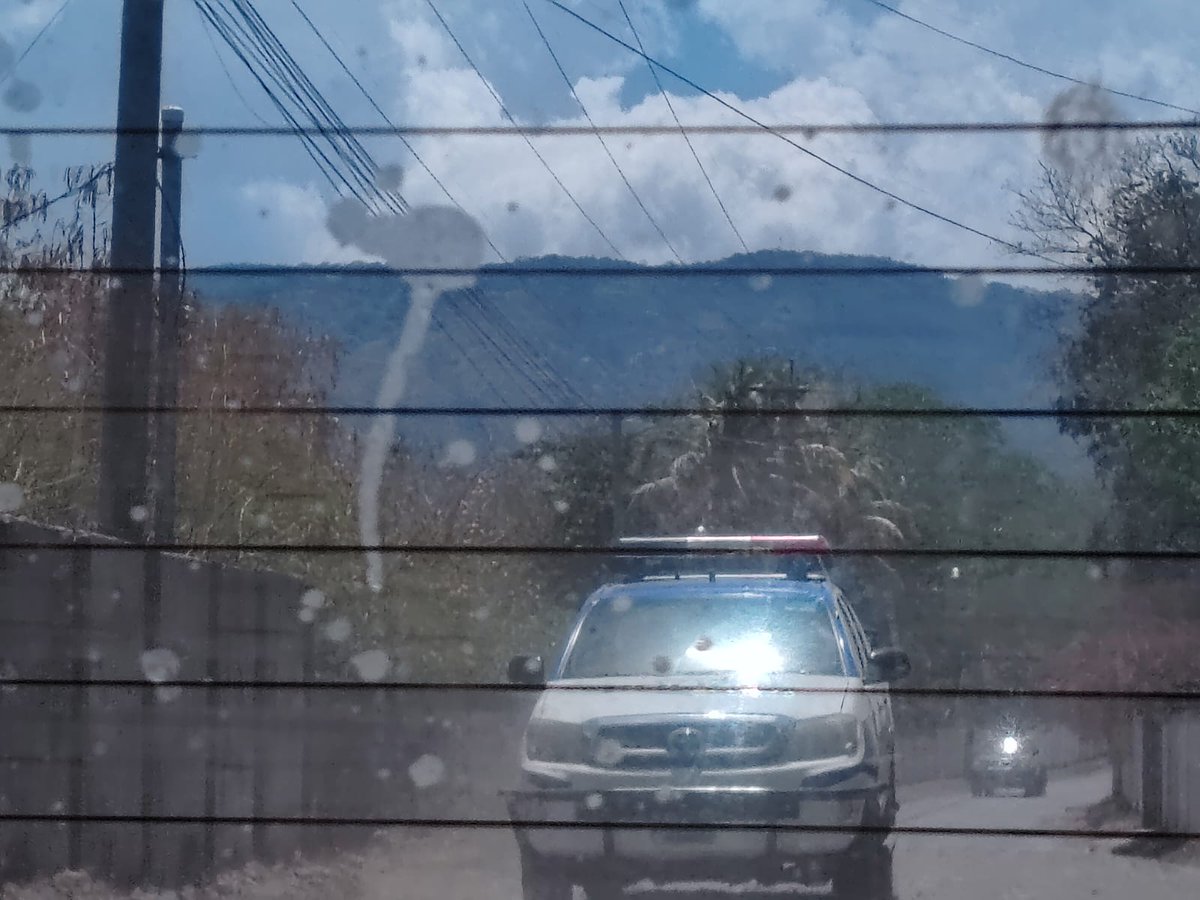 MalaYerba tweet media