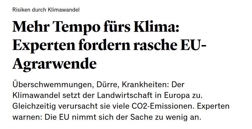 Fridays for Future Germany tweet media