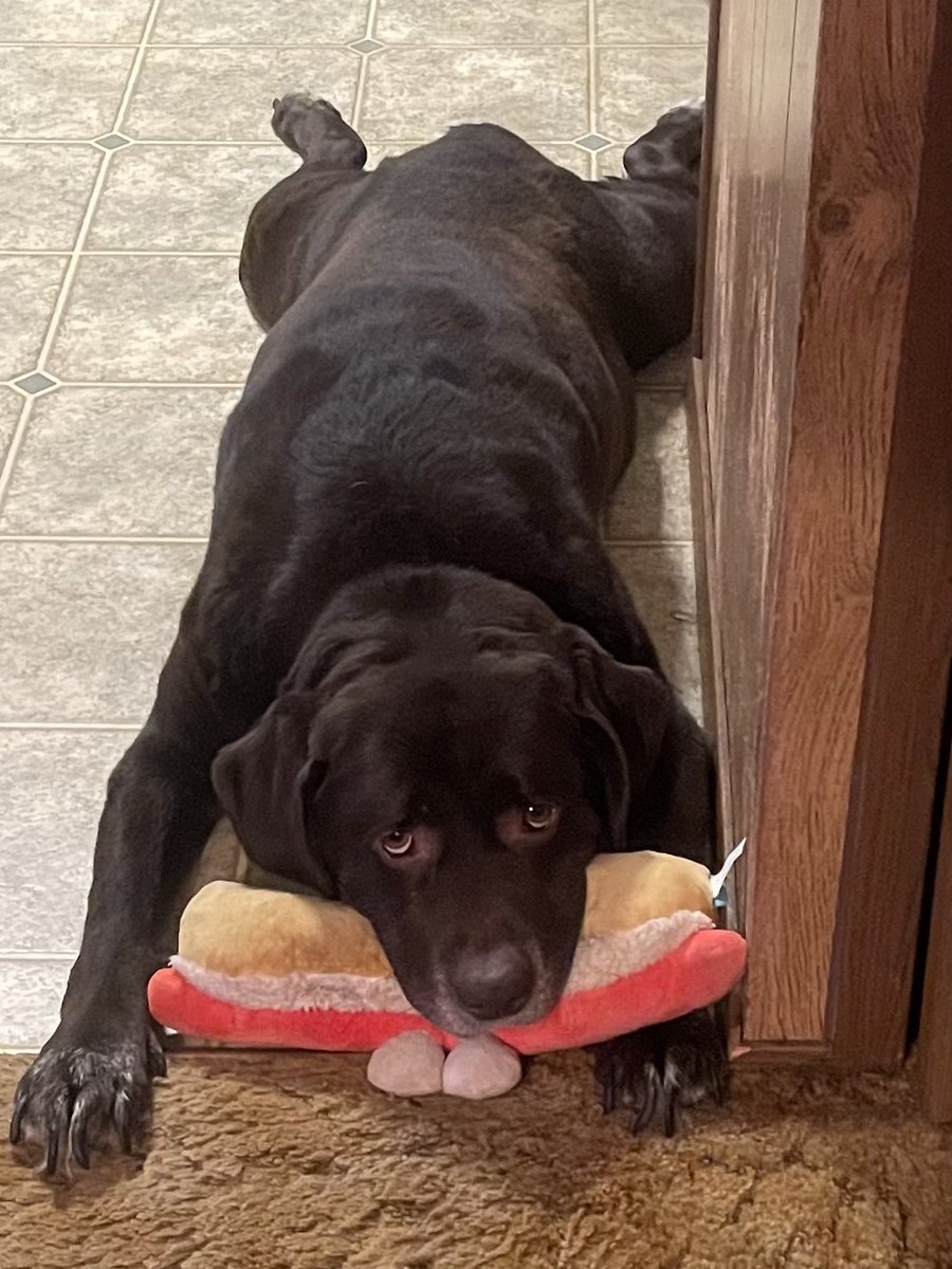 Fishing With Heroes tweet media