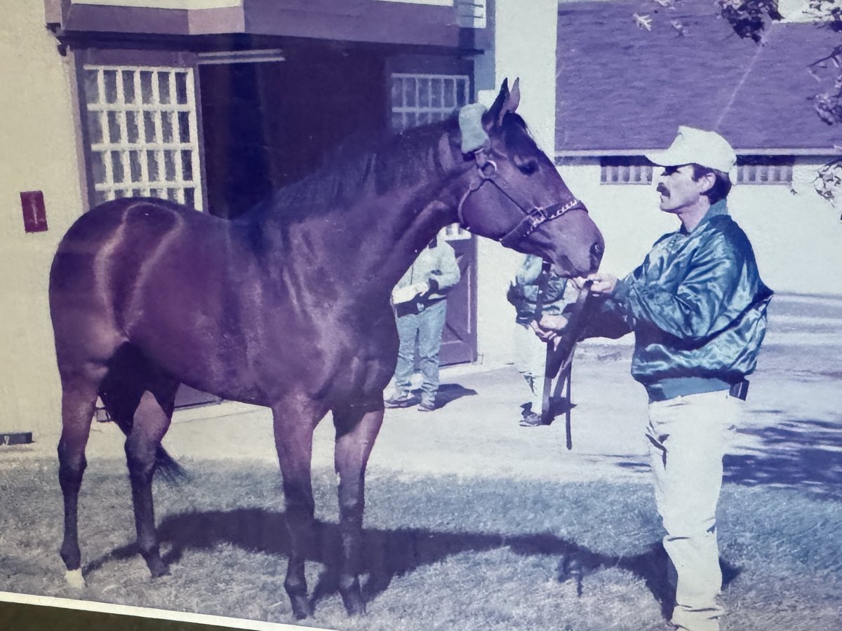 Denali Stud tweet media