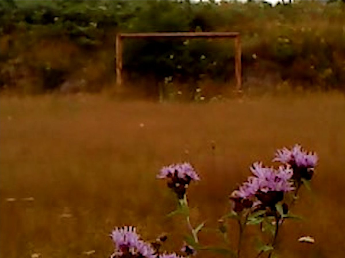 Oklahoma City Museum of Art tweet media