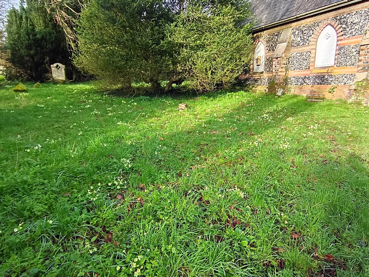 John Walshe tweet media