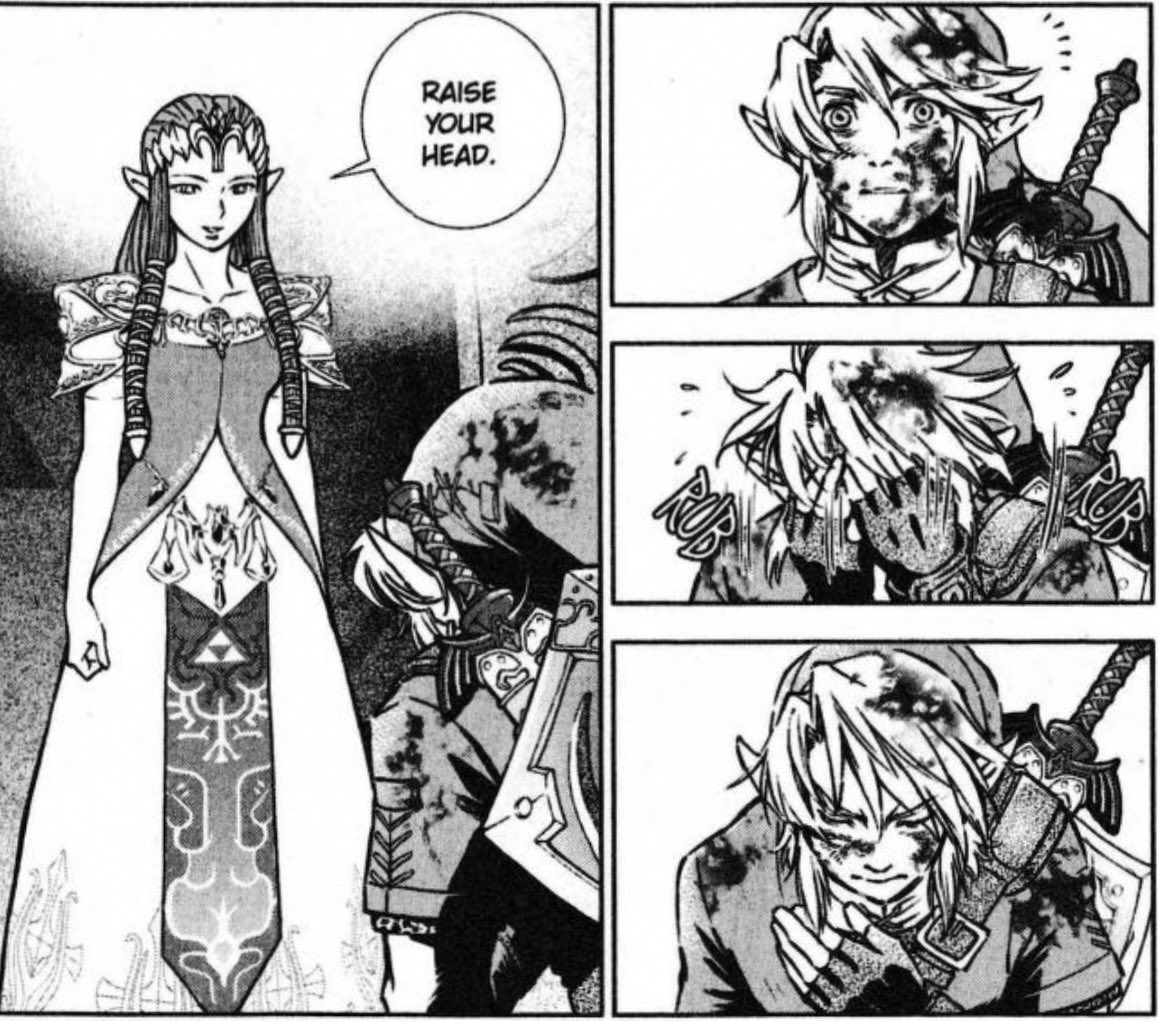 aird_1999's tweet photo. In the TP manga, Link thought he wasn't worthy to look her in the face because he was "filthy," and Zelda replied that she wanted to see the face of the man who saved her. They way both look at each other was so cute🥹. https://t.co/b6v20NiNVT