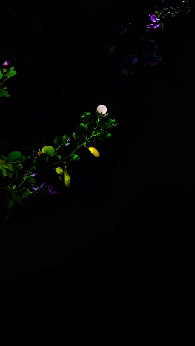 Heisenberg ☢ tweet media