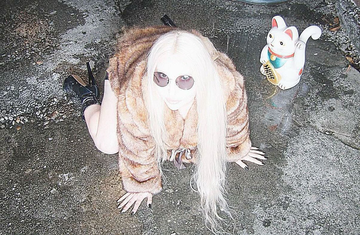 Ayesha Clinton ☆ tweet media