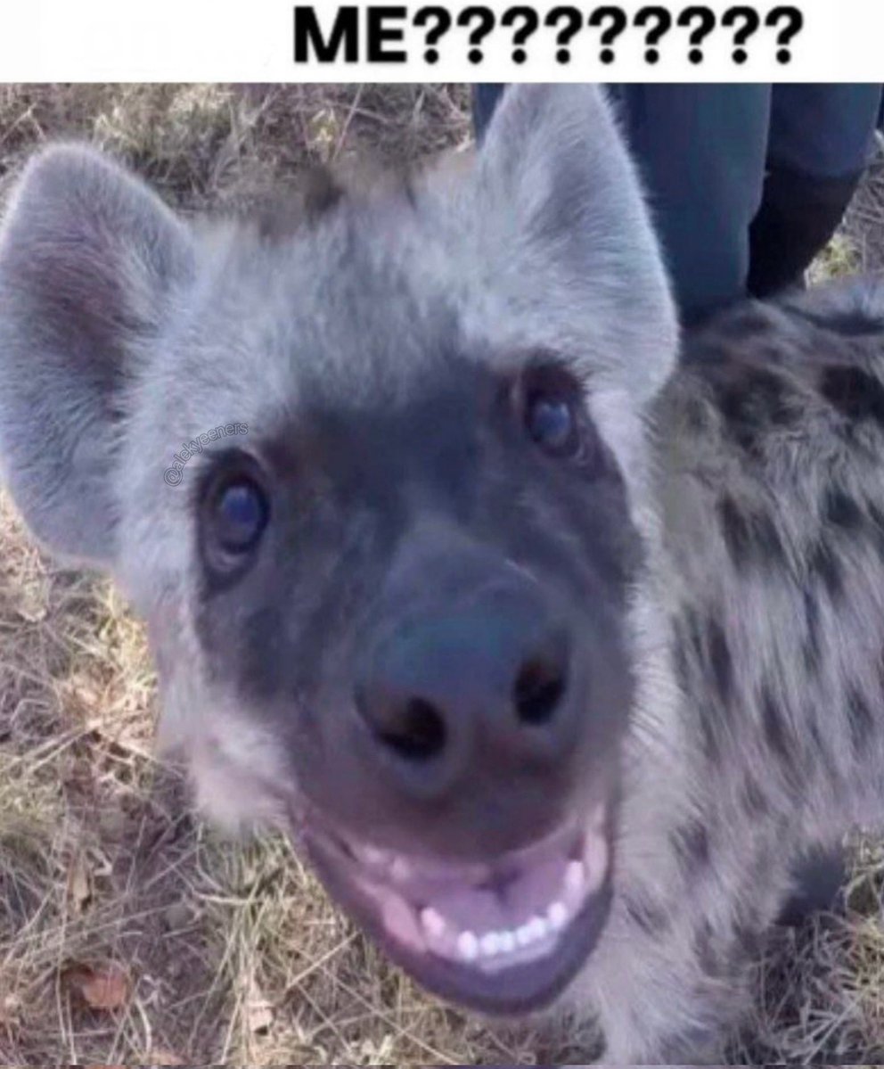 Jun Sazanami tweet media