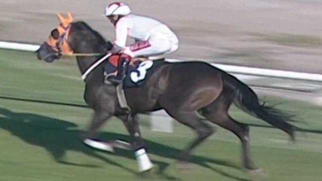 Gusholder Haber Bülteni tweet media