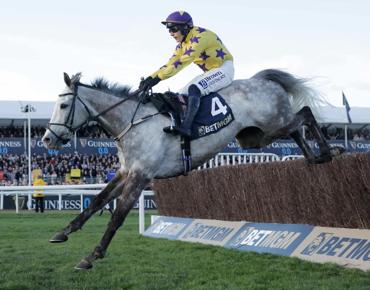 Cheltenham Festival Fans tweet media