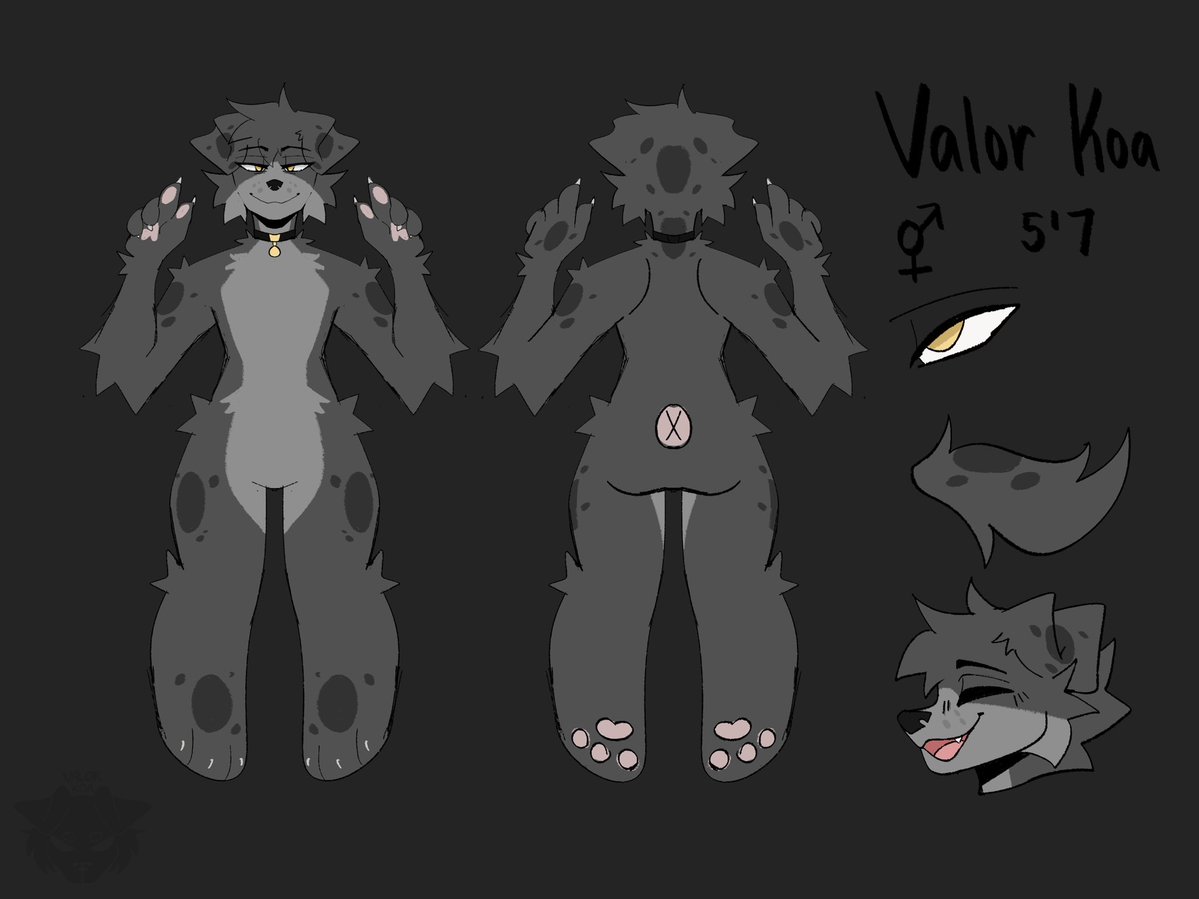 Valor Koa (comms closed) tweet media